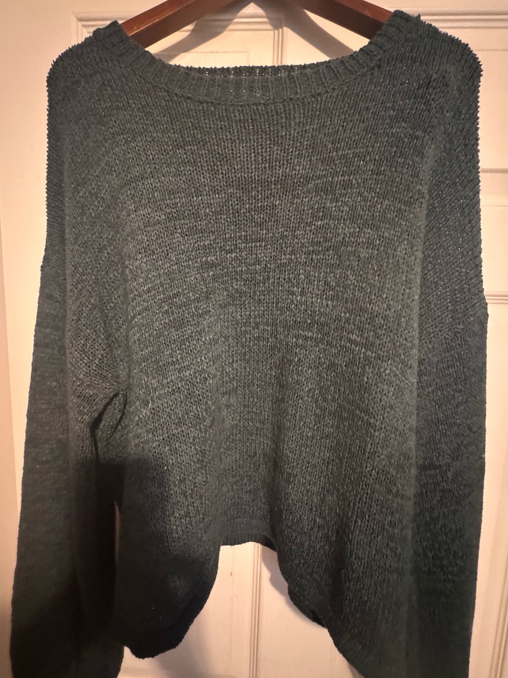 NWOT She & Sky Women's Crewneck Sweater in Dark Teal/ Green